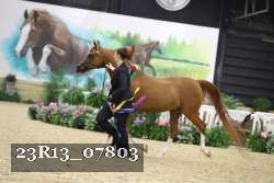 23R13_07803 thumbnail