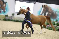 23R13_07804 thumbnail