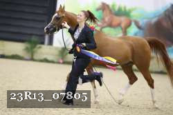 23R13_07805 thumbnail