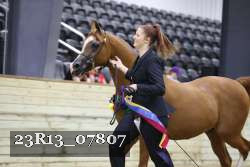 23R13_07807 thumbnail