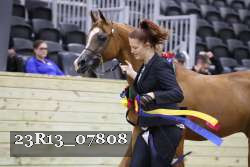 23R13_07808 thumbnail