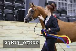 23R13_07809 thumbnail