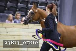 23R13_07810 thumbnail