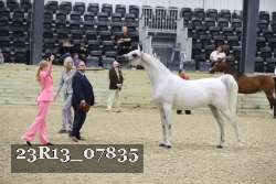 23R13_07835 thumbnail