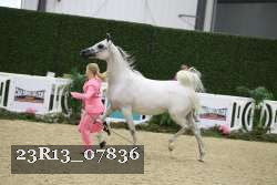 23R13_07836 thumbnail