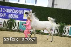23R13_07837 thumbnail