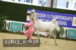 23R13_07838 thumbnail