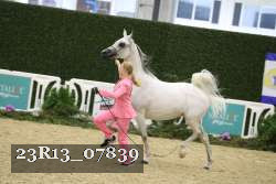 23R13_07839 thumbnail