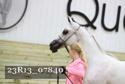 23R13_07840 thumbnail