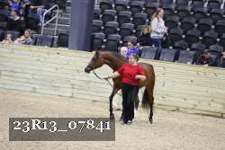 23R13_07841 thumbnail