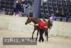 23R13_07842 thumbnail