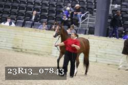 23R13_07843 thumbnail