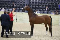 23R13_07844 thumbnail