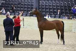 23R13_07845 thumbnail