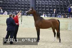 23R13_07846 thumbnail