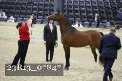 23R13_07847 thumbnail