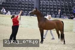 23R13_07849 thumbnail