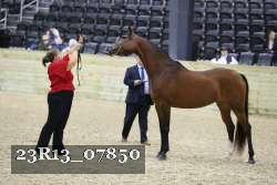 23R13_07850 thumbnail