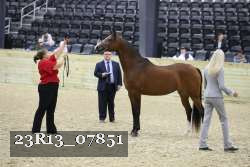 23R13_07851 thumbnail