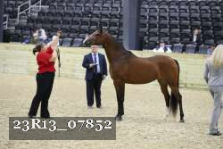 23R13_07852 thumbnail