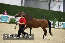 23R13_07854 thumbnail