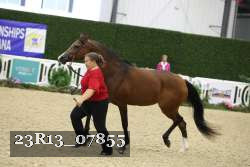 23R13_07855 thumbnail