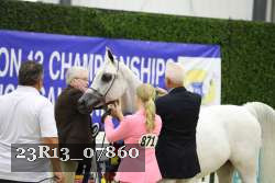 23R13_07860 thumbnail