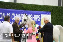 23R13_07861 thumbnail