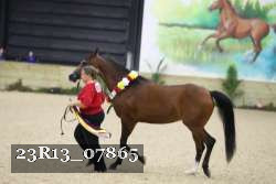 23R13_07865 thumbnail
