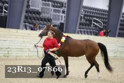 23R13_07866 thumbnail
