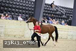 23R13_07867 thumbnail