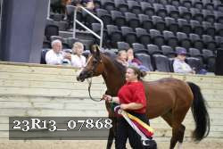 23R13_07868 thumbnail