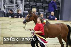 23R13_07870 thumbnail
