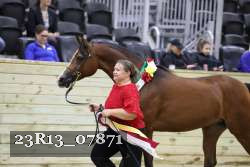 23R13_07871 thumbnail