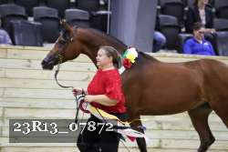 23R13_07872 thumbnail