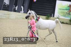 23R13_07873 thumbnail