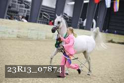 23R13_07874 thumbnail