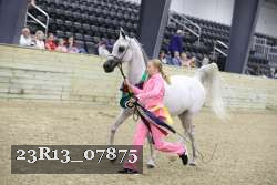 23R13_07875 thumbnail