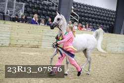 23R13_07876 thumbnail