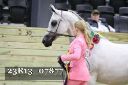 23R13_07877 thumbnail