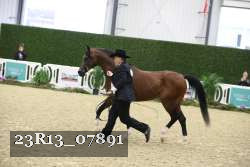 23R13_07891 thumbnail
