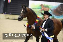 23R13_07902 thumbnail