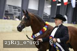 23R13_07903 thumbnail