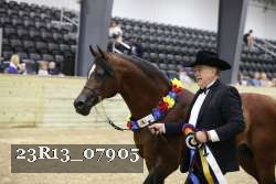 23R13_07905 thumbnail