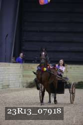 23R13_07918 thumbnail