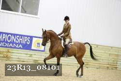 23R13_08101 thumbnail