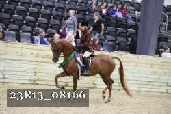 23R13_08166 thumbnail