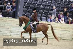 23R13_08167 thumbnail