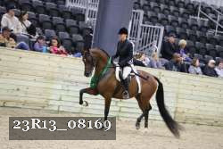 23R13_08169 thumbnail