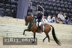 23R13_08170 thumbnail